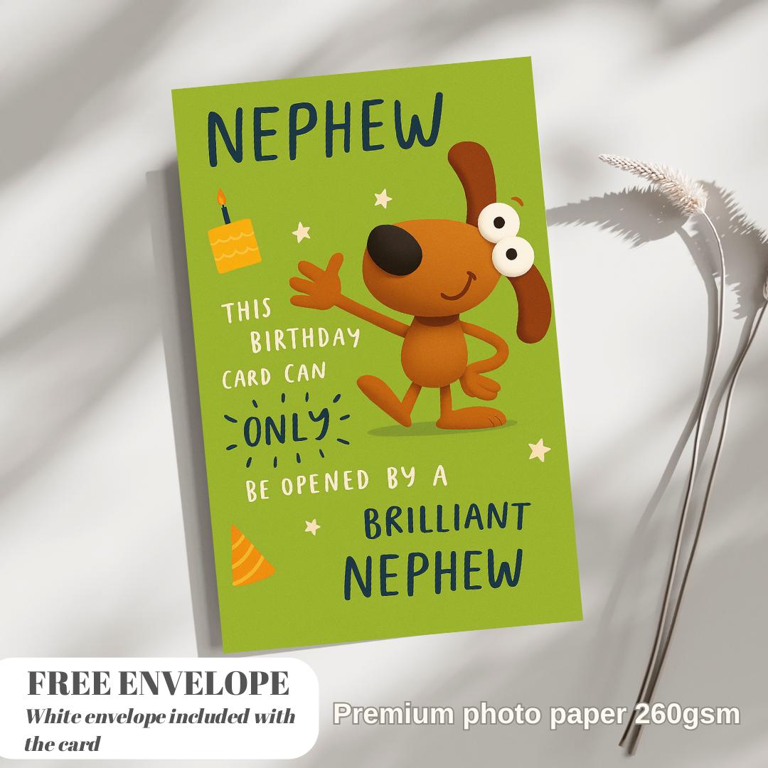 For my nephew Birthday card - nephew Birthday Card Cute nephew birthday cards , card for him greeting card for nephew A5 size